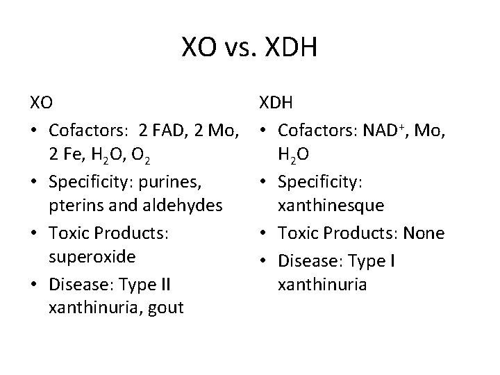 XO vs. XDH XO • Cofactors: 2 FAD, 2 Mo, 2 Fe, H 2