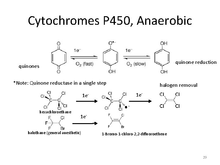 Cytochromes P 450, Anaerobic quinone reduction quinones *Note: Quinone reductase in a single step
