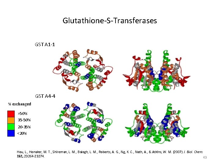 Glutathione-S-Transferases GST A 1 -1 GST A 4 -4 % exchanged >50% 35 -50%