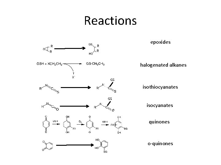 Reactions R R epoxides R R halogenated alkanes GS isothiocyanates GS O isocyanates quinones
