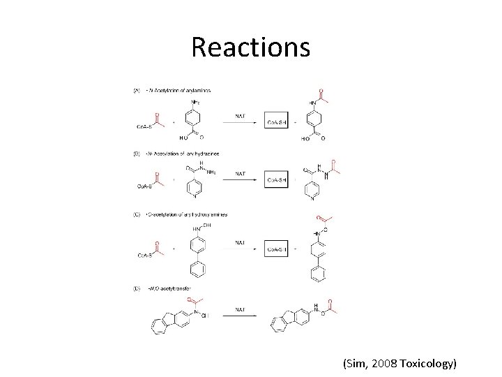 Reactions (Sim, 2008 Toxicology) 