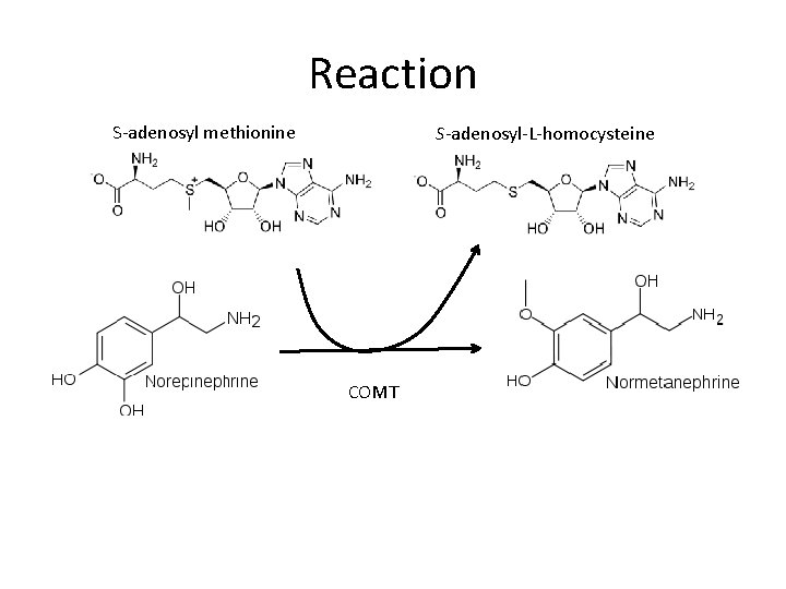 Reaction S-adenosyl methionine S-adenosyl-L-homocysteine COMT 