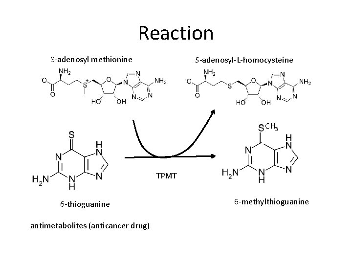 Reaction S-adenosyl methionine S-adenosyl-L-homocysteine CH 3 TPMT 6 -thioguanine antimetabolites (anticancer drug) 6 -methylthioguanine