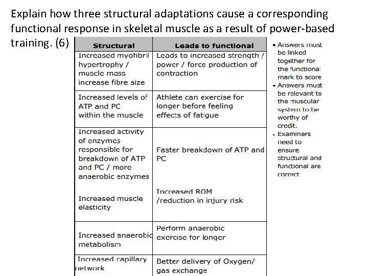 Explain how three structural adaptations cause a corresponding functional response in skeletal muscle as