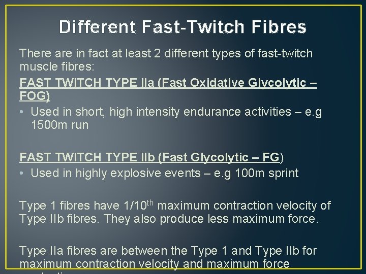 Different Fast-Twitch Fibres There are in fact at least 2 different types of fast-twitch