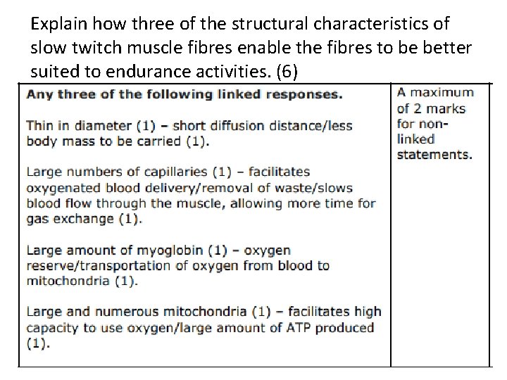 Explain how three of the structural characteristics of slow twitch muscle fibres enable the