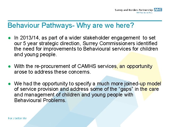 Behaviour Pathways- Why are we here? ● In 2013/14, as part of a wider