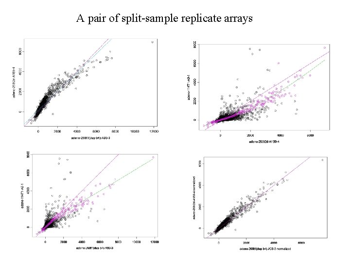 A pair of split-sample replicate arrays 