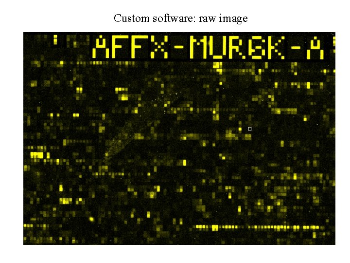 Custom software: raw image 