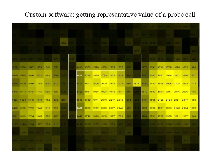 Custom software: getting representative value of a probe cell 