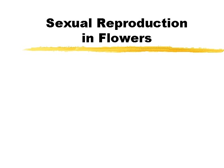 Sexual Reproduction in Flowers 