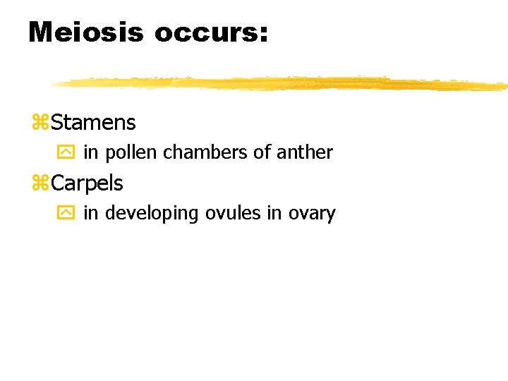 Meiosis occurs: z. Stamens y in pollen chambers of anther z. Carpels y in