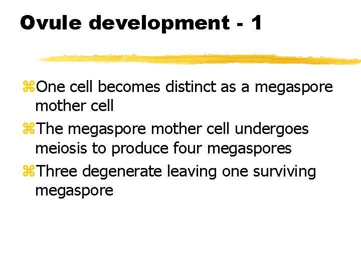 Ovule development - 1 z. One cell becomes distinct as a megaspore mother cell