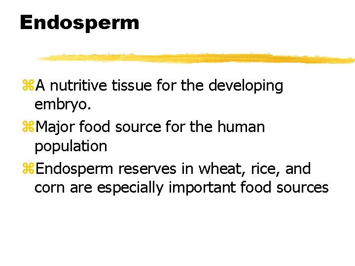 Endosperm z. A nutritive tissue for the developing embryo. z. Major food source for