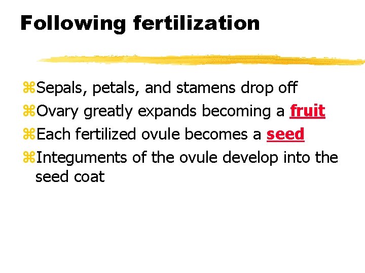 Following fertilization z. Sepals, petals, and stamens drop off z. Ovary greatly expands becoming