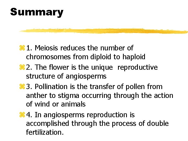 Summary z 1. Meiosis reduces the number of chromosomes from diploid to haploid z