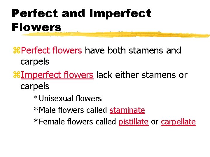 Perfect and Imperfect Flowers z. Perfect flowers have both stamens and carpels z. Imperfect