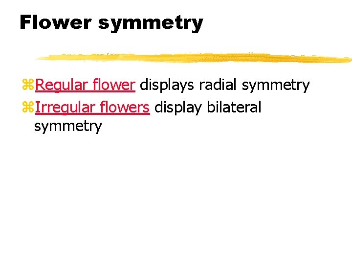 Flower symmetry z. Regular flower displays radial symmetry z. Irregular flowers display bilateral symmetry