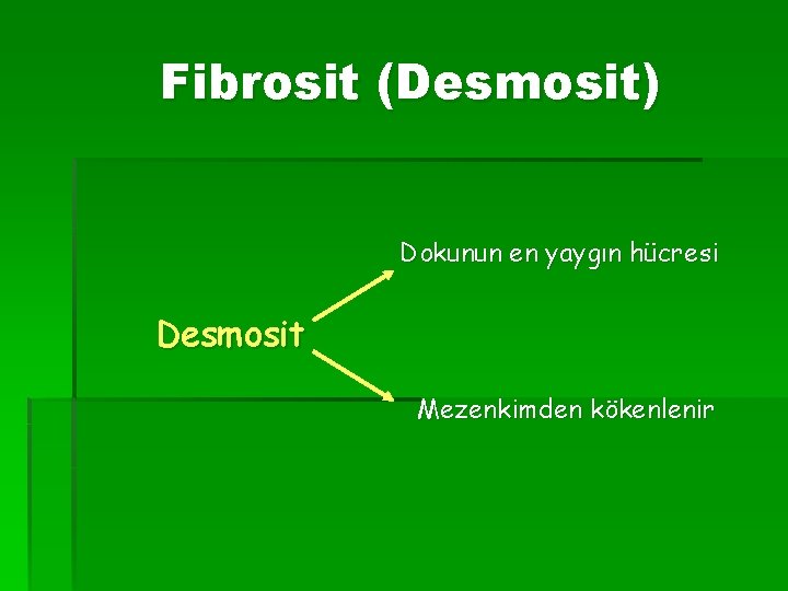 Fibrosit (Desmosit) Dokunun en yaygın hücresi Desmosit Mezenkimden kökenlenir 