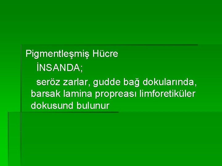 Pigmentleşmiş Hücre İNSANDA; seröz zarlar, gudde bağ dokularında, barsak lamina propreası limforetiküler dokusund bulunur