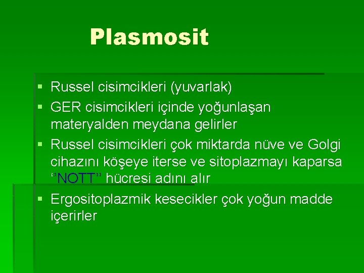 Plasmosit § Russel cisimcikleri (yuvarlak) § GER cisimcikleri içinde yoğunlaşan materyalden meydana gelirler §