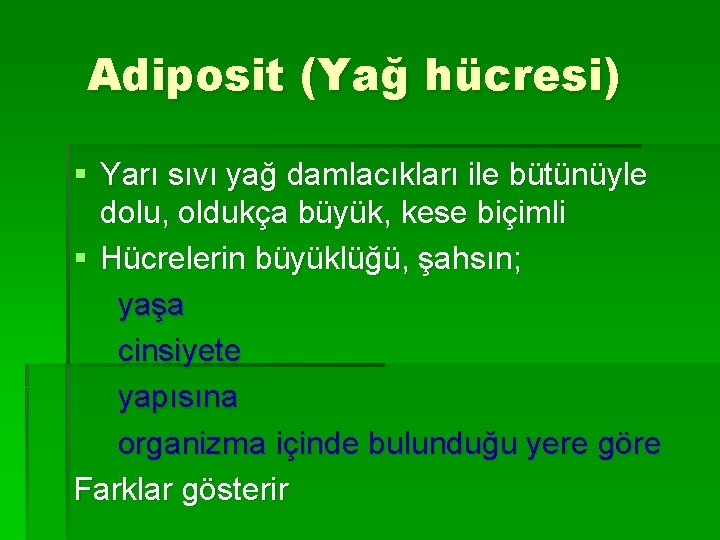 Adiposit (Yağ hücresi) § Yarı sıvı yağ damlacıkları ile bütünüyle dolu, oldukça büyük, kese