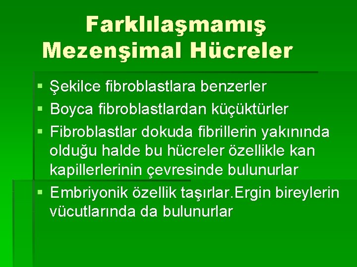 Farklılaşmamış Mezenşimal Hücreler § § § Şekilce fibroblastlara benzerler Boyca fibroblastlardan küçüktürler Fibroblastlar dokuda