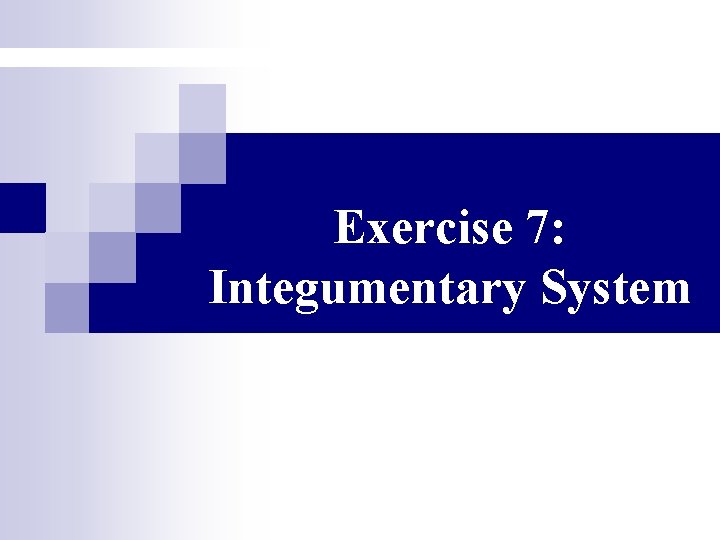 Exercise 7: Integumentary System 