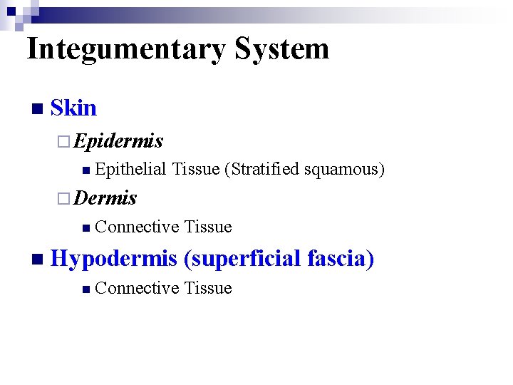 Integumentary System n Skin ¨Epidermis n Epithelial Tissue (Stratified squamous) ¨Dermis n Connective n