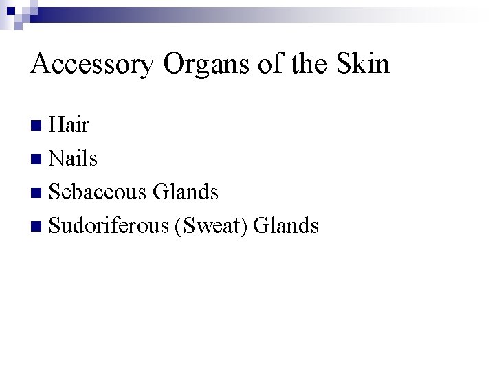 Accessory Organs of the Skin n Hair n Nails n Sebaceous Glands n Sudoriferous