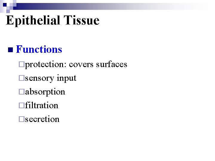 Epithelial Tissue n Functions ¨protection: covers surfaces ¨sensory input ¨absorption ¨filtration ¨secretion 