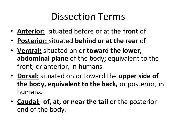 Dissection Terms • Anterior: situated before or at the front of • Posterior: situated