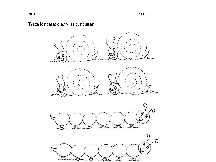 Nombre: …………………………………. . . Traza los caracoles y las cuncunas Fecha…………………… 