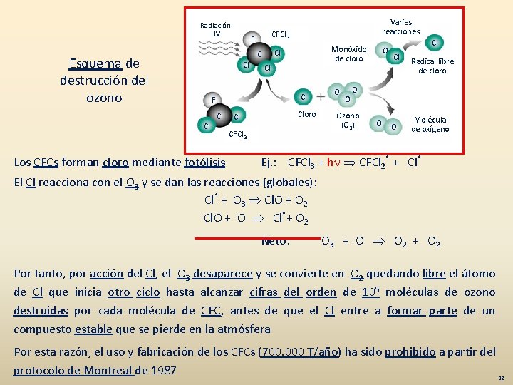 Radiación UV CFCl 3 F Cl Cl Cl F Cl Monóxido de cloro Cl