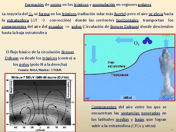 Formación de ozono en los trópicos y acumulación en regiones polares La mayoría del