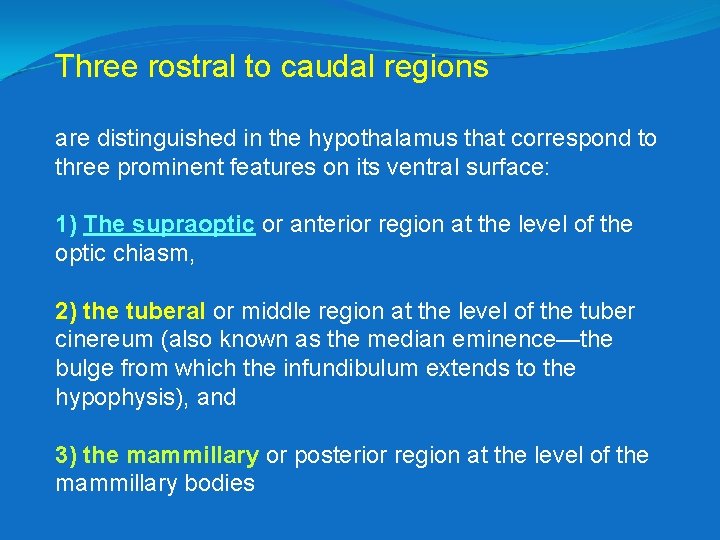 Three rostral to caudal regions are distinguished in the hypothalamus that correspond to three