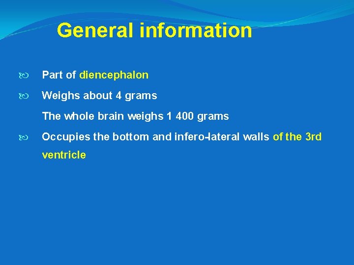 General information Part of diencephalon Weighs about 4 grams The whole brain weighs 1