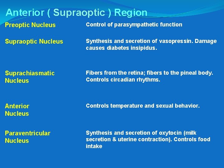 Anterior ( Supraoptic ) Region Preoptic Nucleus Control of parasympathetic function Supraoptic Nucleus Synthesis
