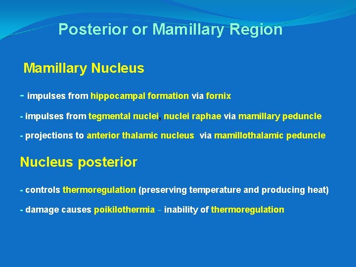 Posterior or Mamillary Region Mamillary Nucleus - impulses from hippocampal formation via fornix -