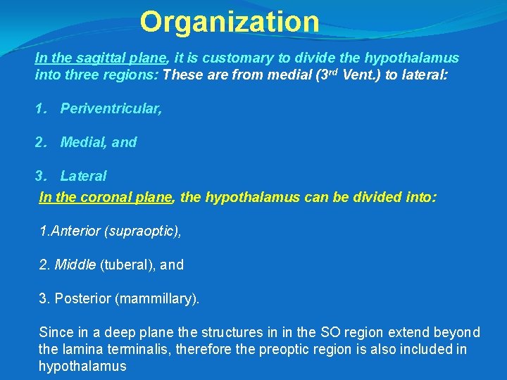 Organization In the sagittal plane, it is customary to divide the hypothalamus into three