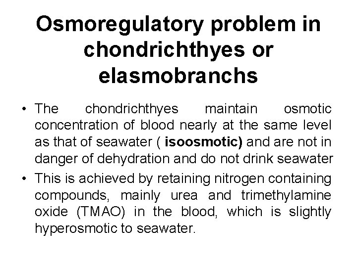 Osmoregulatory problem in chondrichthyes or elasmobranchs • The chondrichthyes maintain osmotic concentration of blood