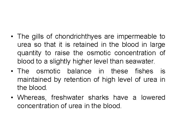  • The gills of chondrichthyes are impermeable to urea so that it is