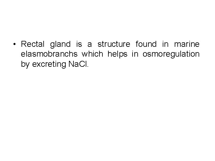  • Rectal gland is a structure found in marine elasmobranchs which helps in