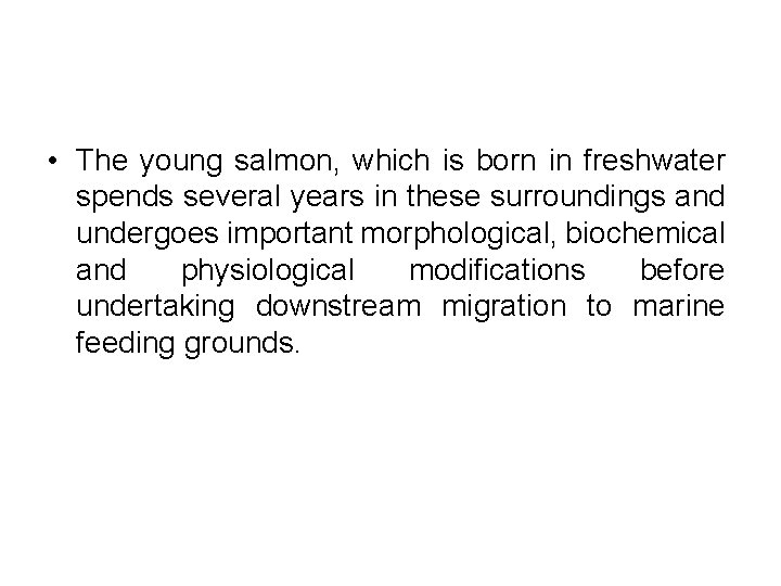 • The young salmon, which is born in freshwater spends several years in