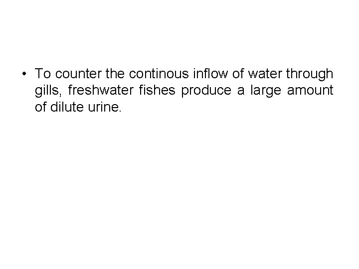 • To counter the continous inflow of water through gills, freshwater fishes produce