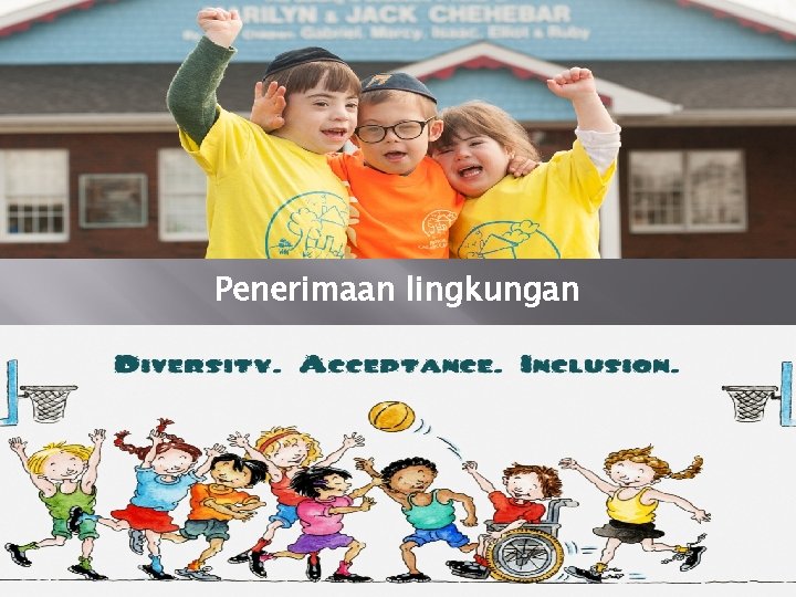 Penerimaan lingkungan 