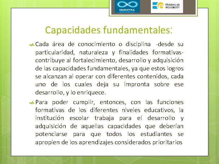 Capacidades fundamentales: Cada área de conocimiento o disciplina -desde su particularidad, naturaleza y finalidades