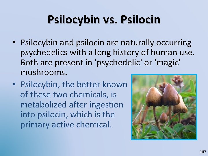 Psilocybin vs. Psilocin • Psilocybin and psilocin are naturally occurring psychedelics with a long