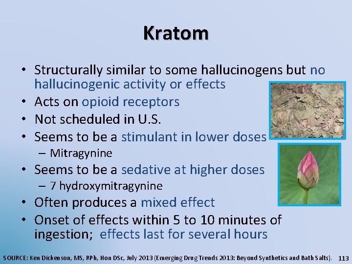 Kratom • Structurally similar to some hallucinogens but no hallucinogenic activity or effects •