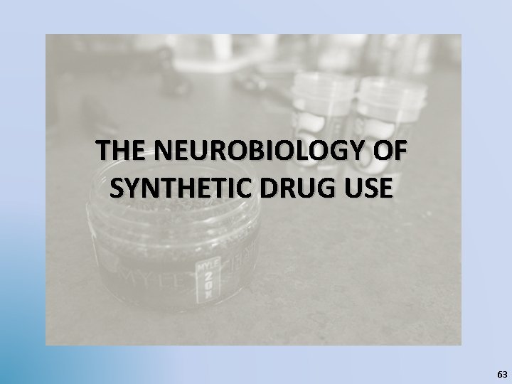THE NEUROBIOLOGY OF SYNTHETIC DRUG USE 63 